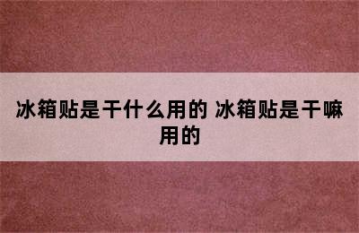 冰箱贴是干什么用的 冰箱贴是干嘛用的